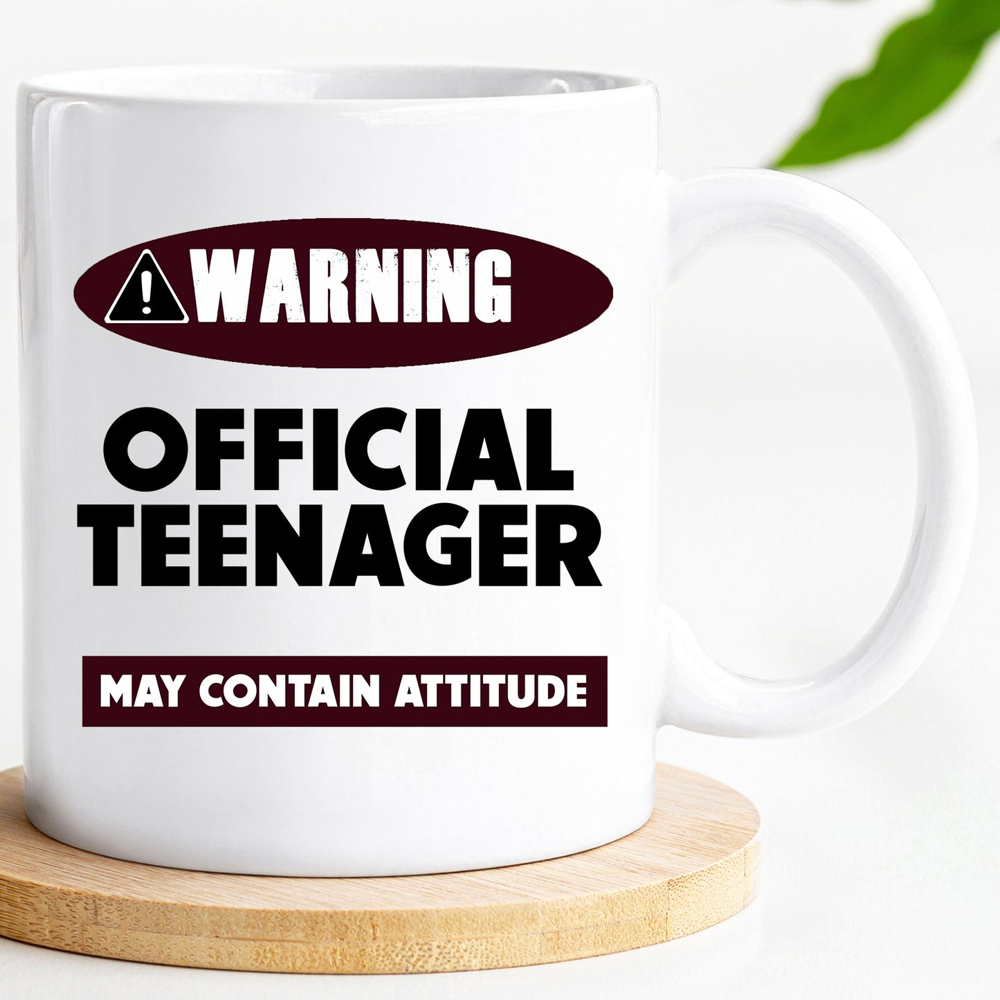 Warning Official Teenager Mug